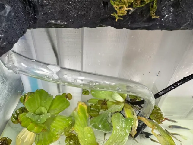 缸内回流水路